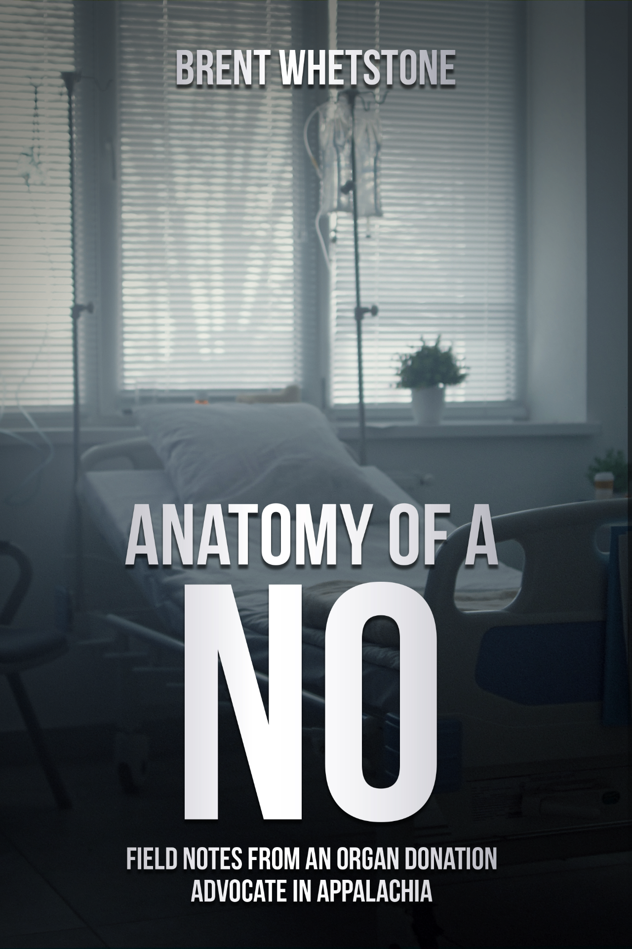 Anatomy of a No — book cover